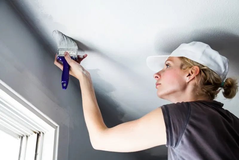 Remarkable Ceiling Paint Colour Tips and Inspiration