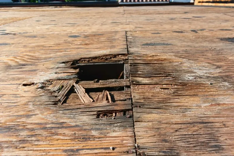 Rotting Wood on Your Deck: Learn Clever Ways to Keep Wood from Decaying and Spreading