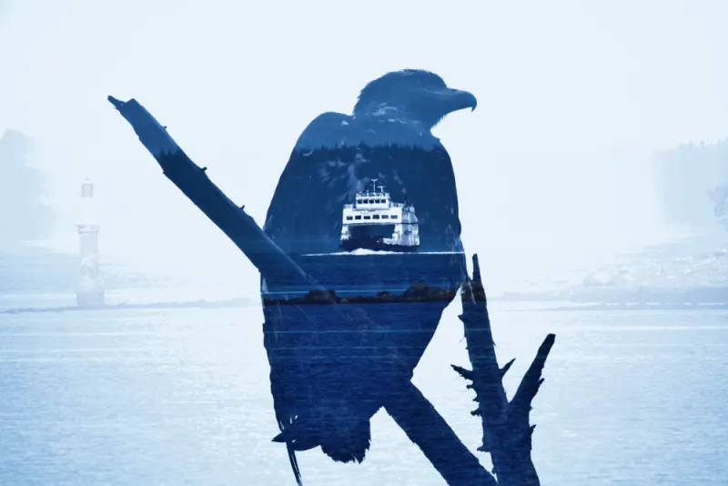 painting north vancouver