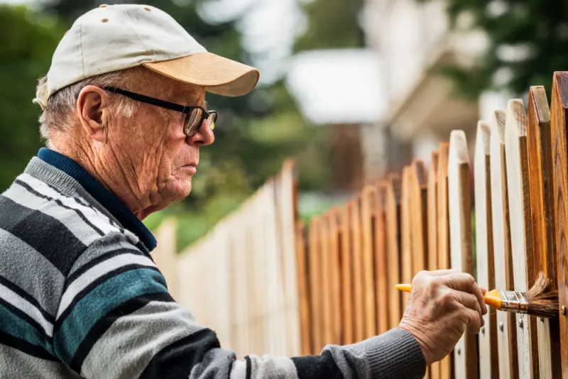 An old man is varnishing wooden fence.
