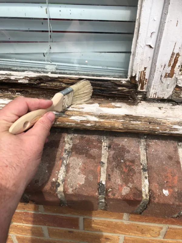 Brushing rotten wood with wood hardener.