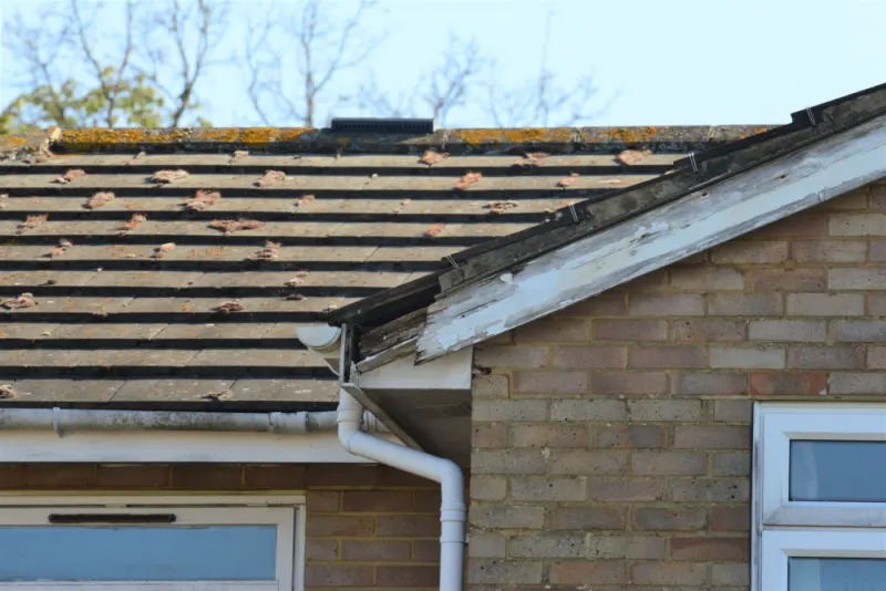 Damaged wood trim under the roof.