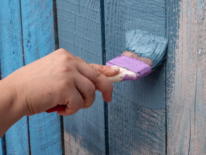 A contractor is finishing painting a wooden fence in a blue colour.
