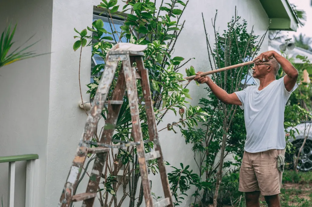 A contractor is painting an exterior house wall behind the bushes and a ladder.