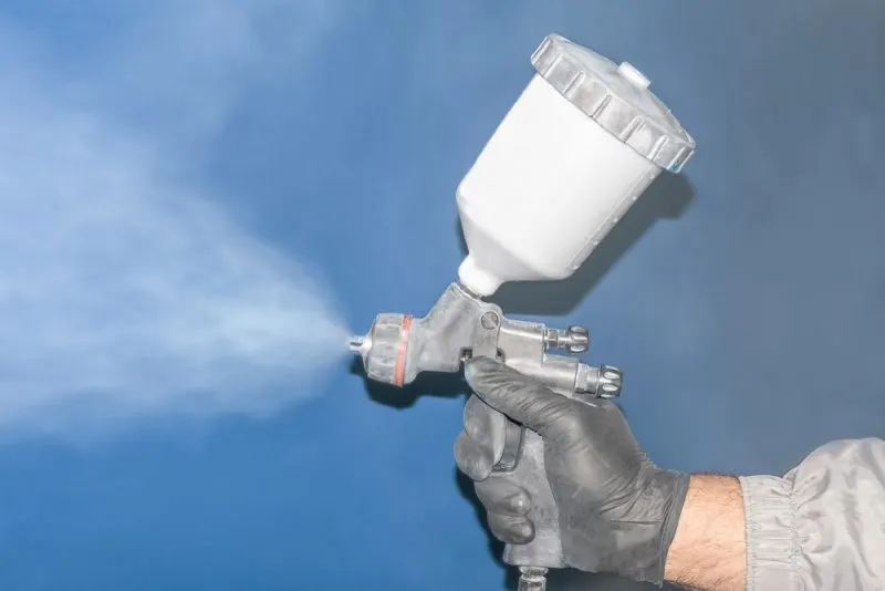 A sprayer for paint