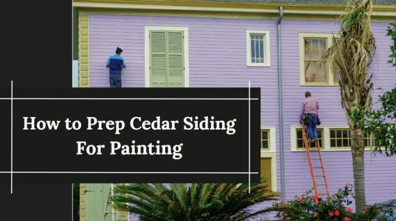 2 painters are doing cedar side painting.