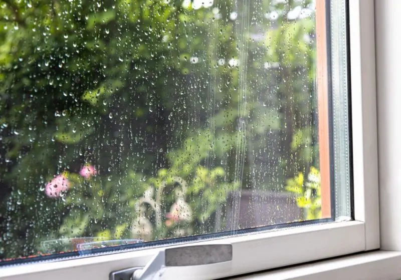 rain on a window