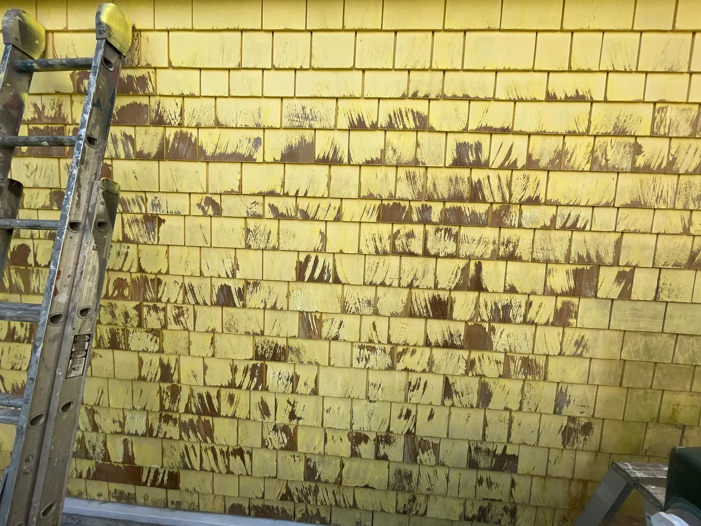 Extension ladder resting against a freshly painted golden-yellow shingle wall, showing the scale of the exterior repaint on this Vancouver home.