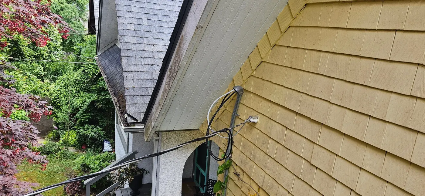 Close-up of weathered cedar shingle siding with moss and mildew staining on a Vancouver house before exterior painting prep by Renaissance Painting.