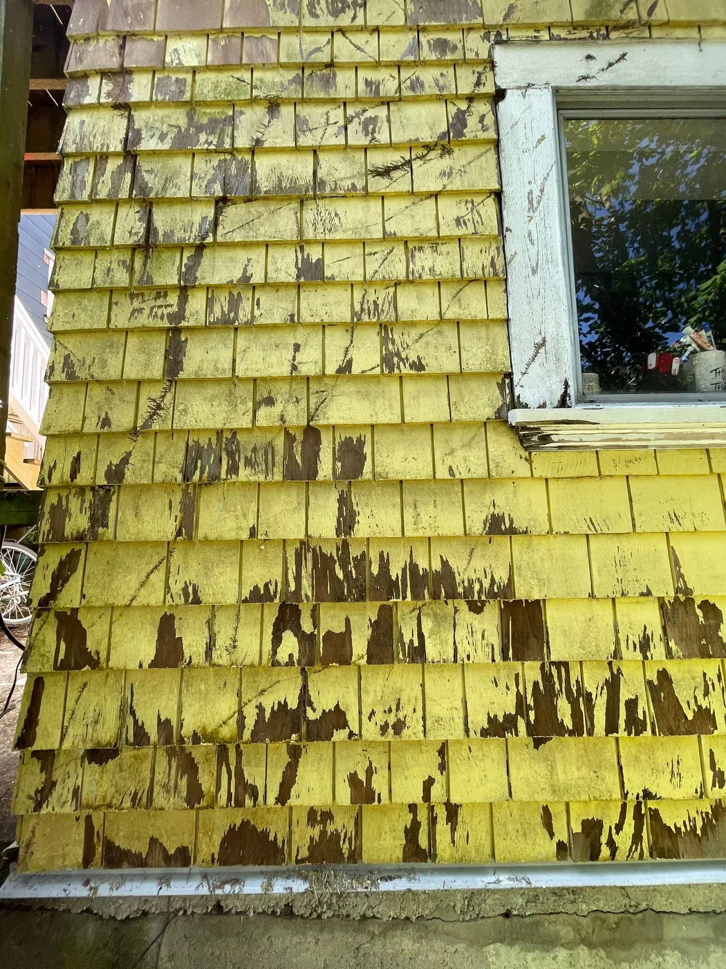 Heavily peeling and cracked yellow paint on cedar shingle siding near a window, showing the scope of surface prep needed before repainting this Vancouver home.