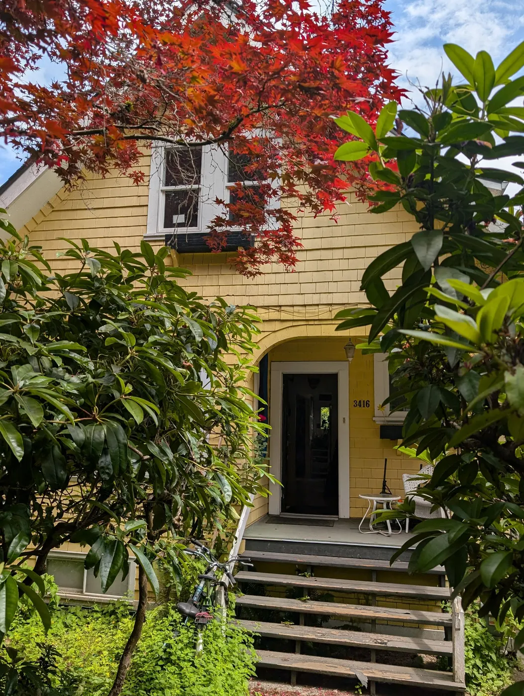 Freshly painted mustard-yellow Victorian home exterior in Vancouver, BC framed by a red Japanese maple, showing the finished shingle siding and front entry after painting by Renaissance Painting.