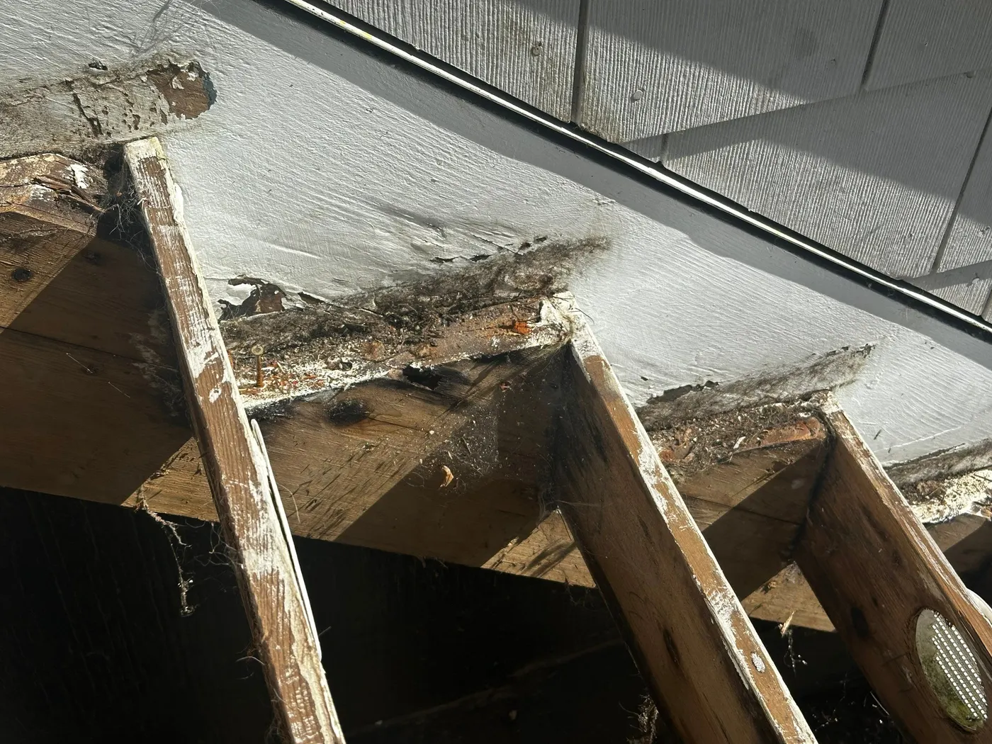 Close-up of rotted, water-damaged wood framing found inside a stair stringer during a Vancouver staircase renovation.