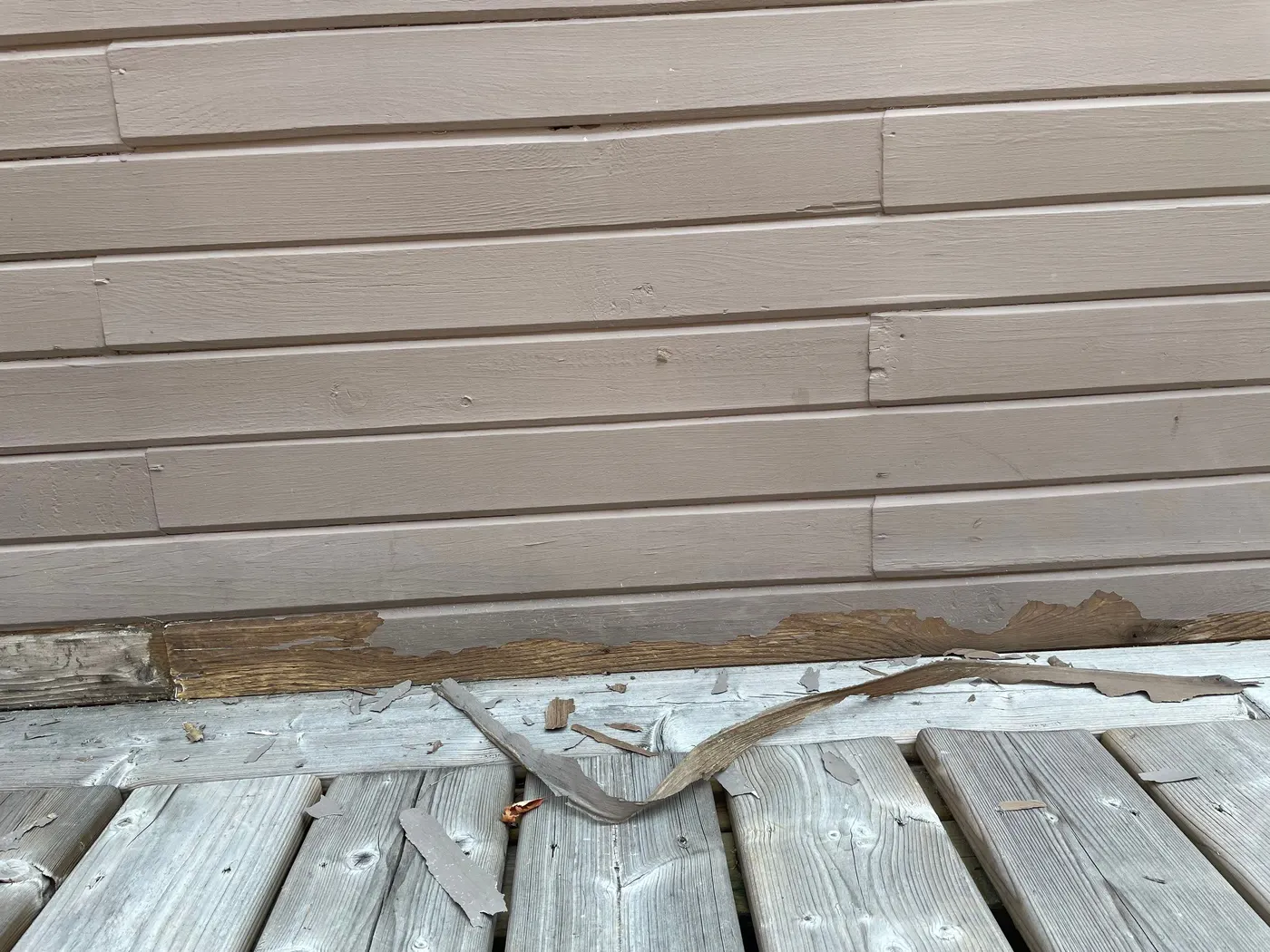 Close-up of peeling paint and deteriorated wood siding being prepped for repainting on a Vancouver, BC home.