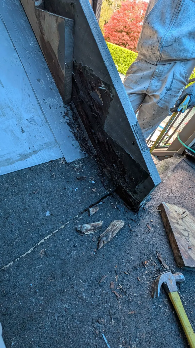 Carpenter assessing a rotted exterior door frame with visible wood decay on a Vancouver, BC home.