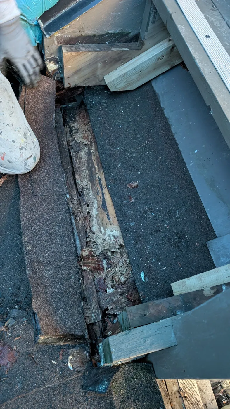 Close-up of severely decayed rim joist wood exposed during a Vancouver, BC carpentry repair project.