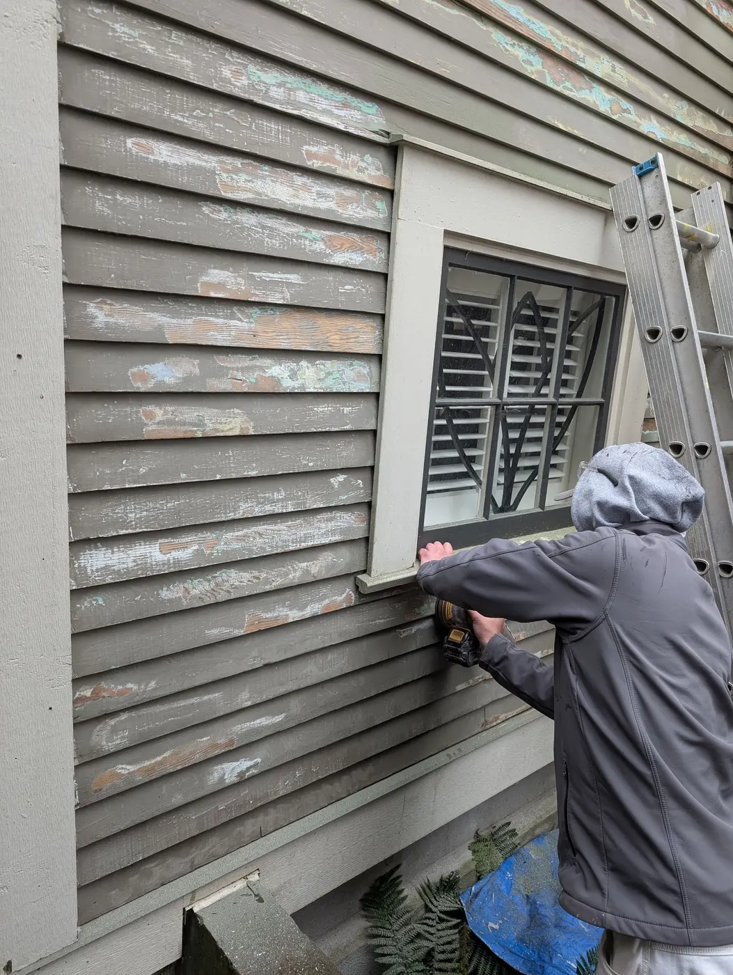 Renaissance Painting crew member scraping old peeling paint from wood siding and window trim on a Vancouver home prior to repainting.