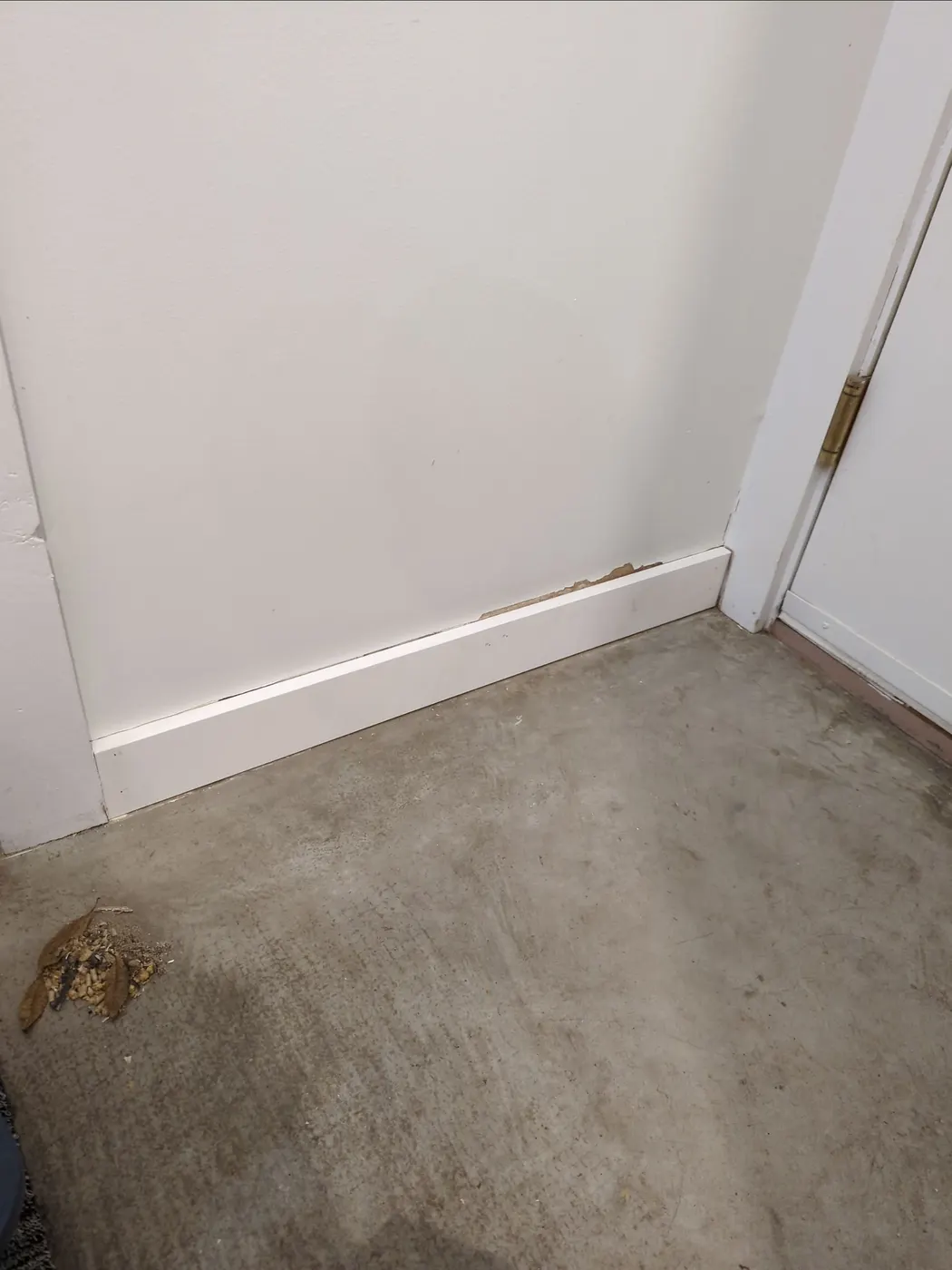 Painter cutting in door trim with a brush during an interior repaint in Vancouver, BC.