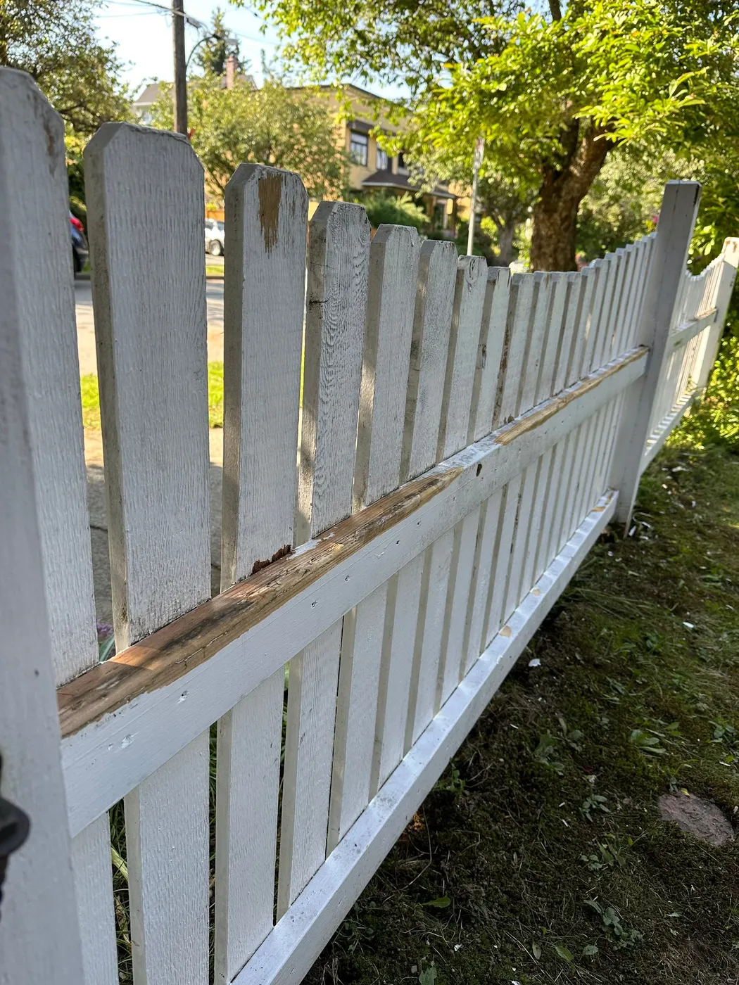 Close-up of a white picket fence top rail with peeling paint before repainting in Vancouver, BC