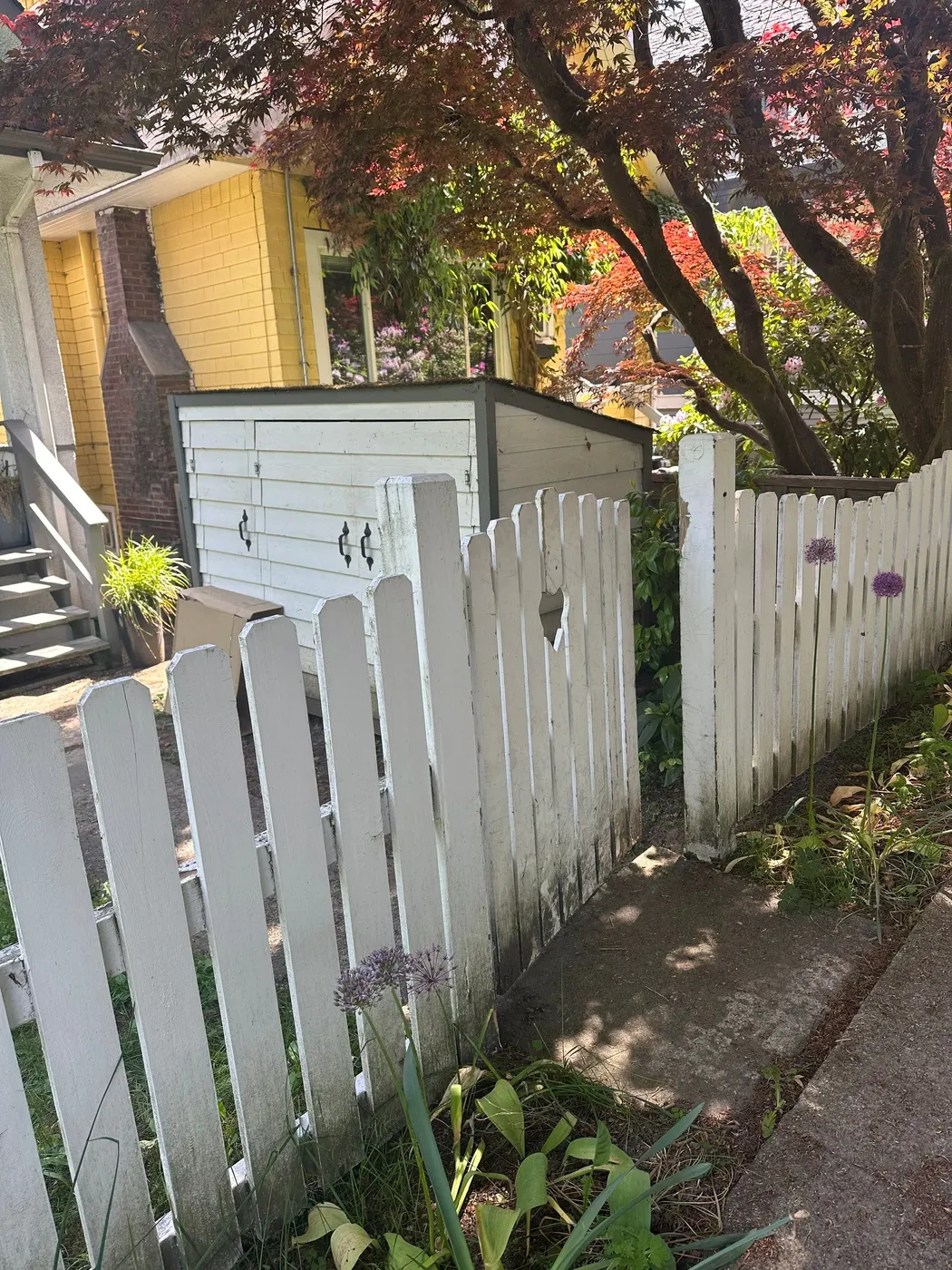 Damaged white picket fence with a broken picket in a Vancouver side yard before repair