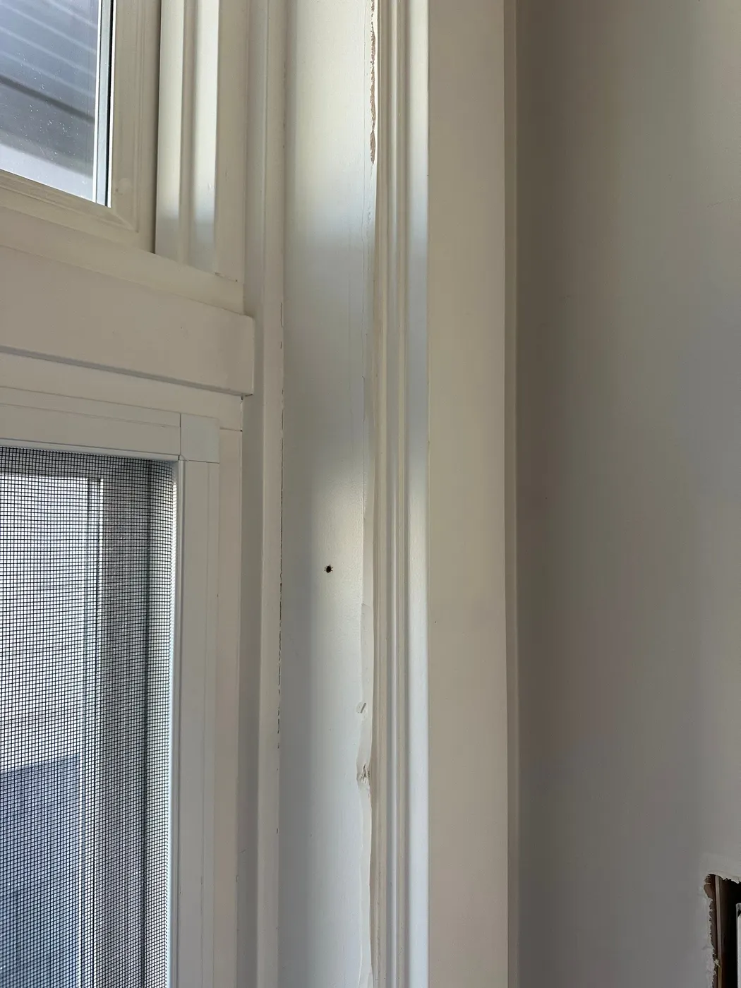 Freshly painted entryway with coat hooks and Dutch door in a Vancouver, BC home.