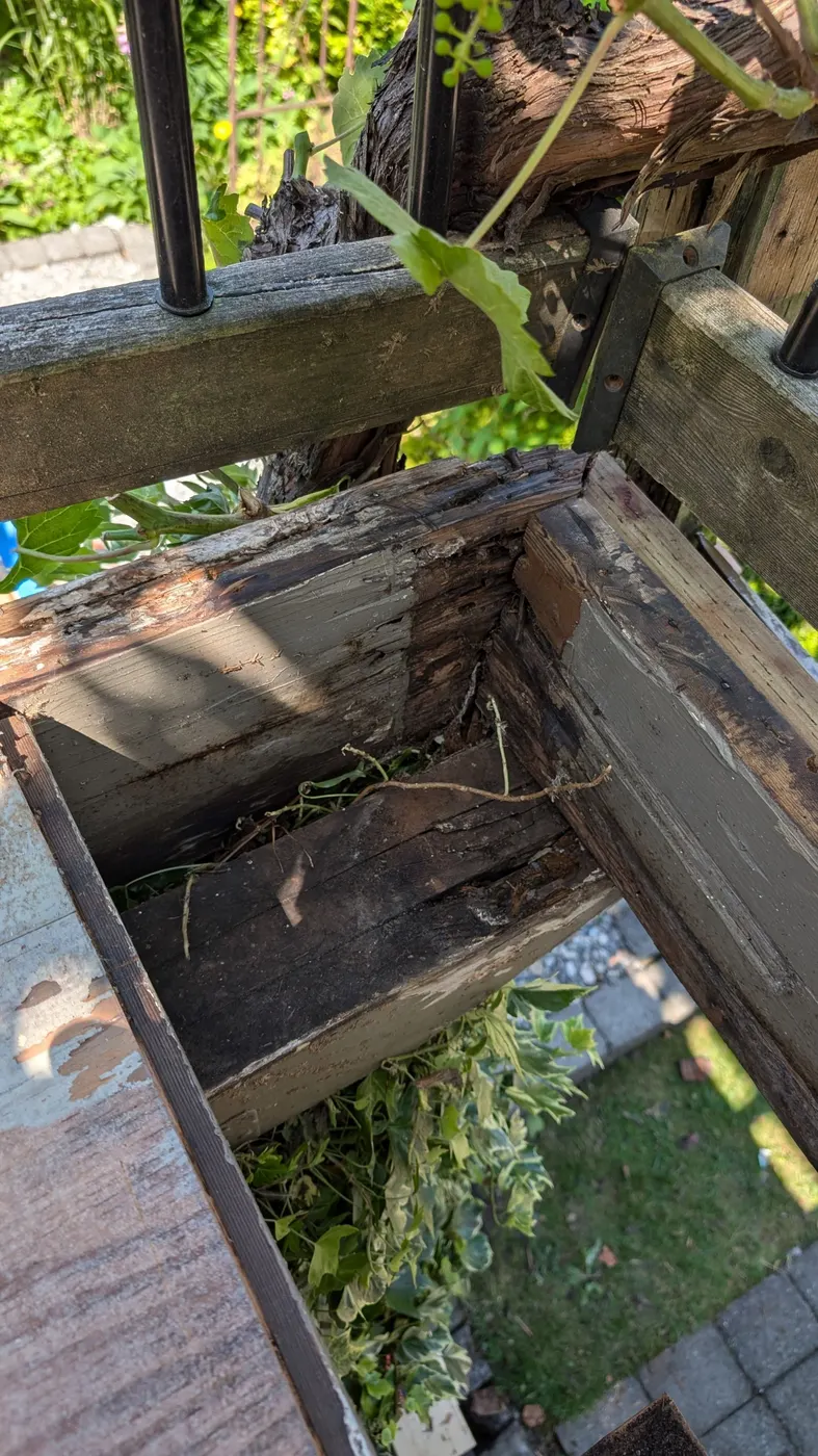 Rotted deck framing exposed during repair on a Vancouver, BC rooftop deck