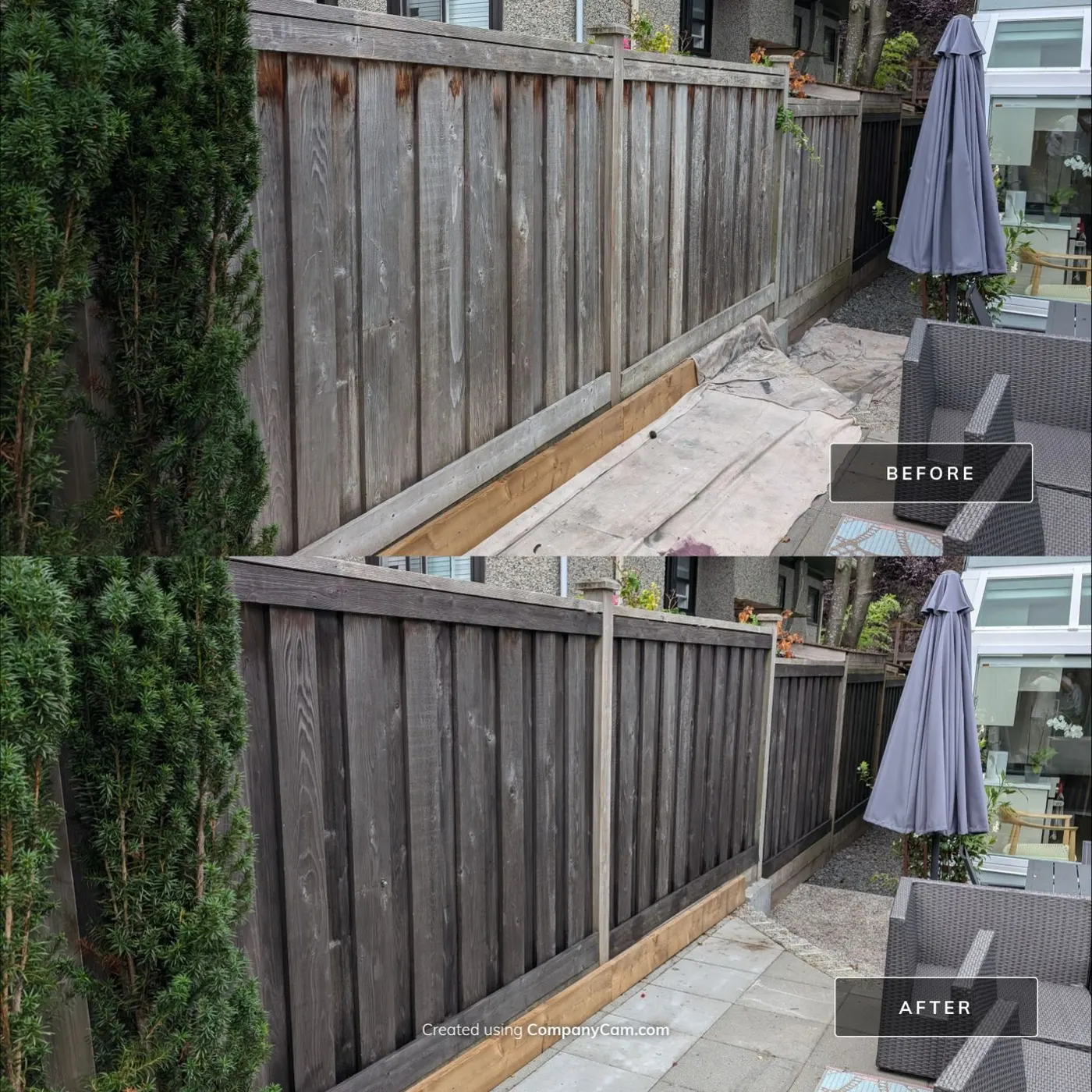 Before and after of a weathered grey wood privacy fence restained a rich charcoal tone in a Vancouver, BC backyard