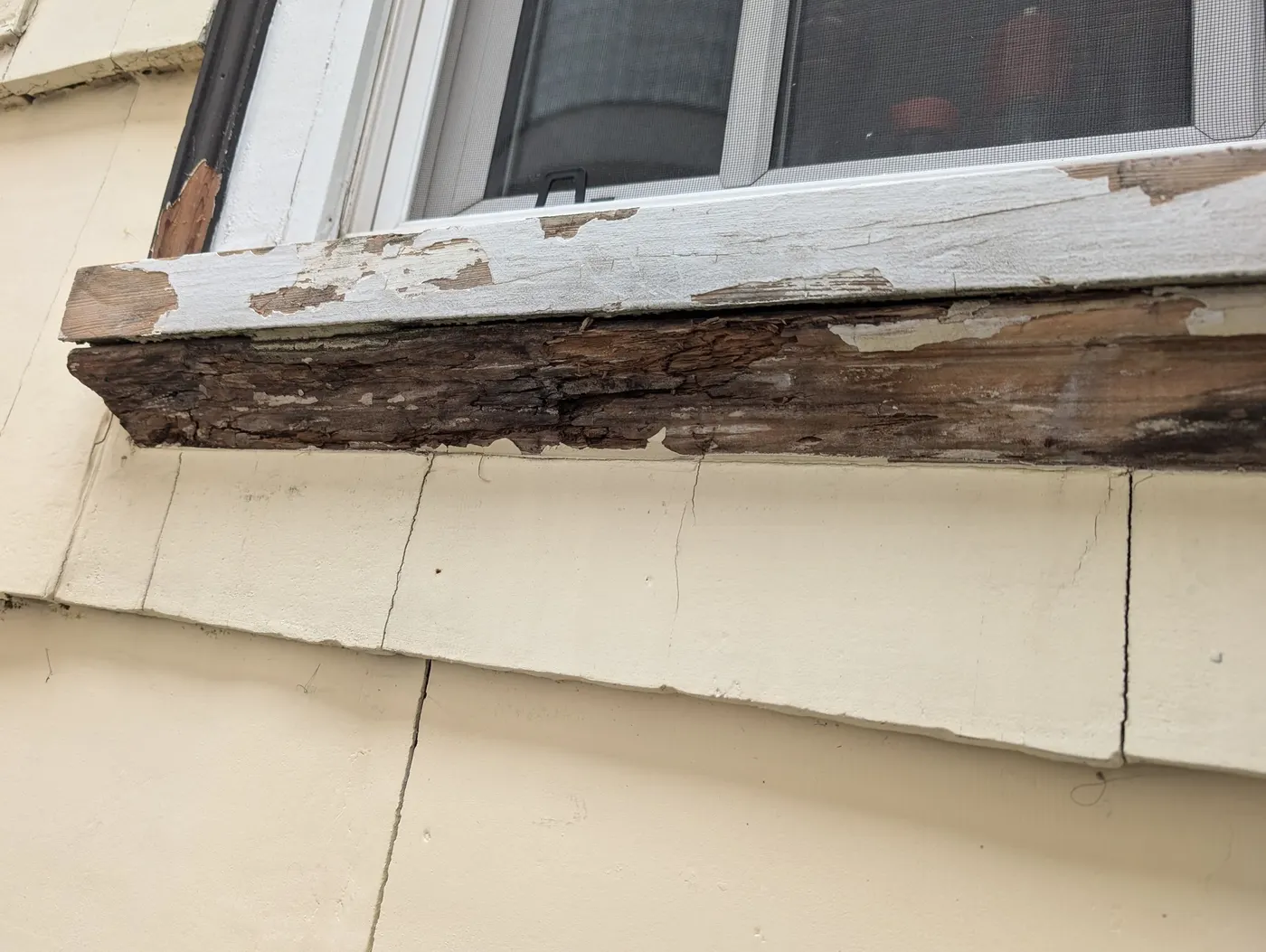 Close-up of rotted wood window trim before carpentry repair on a Vancouver home, identified during an exterior painting project.