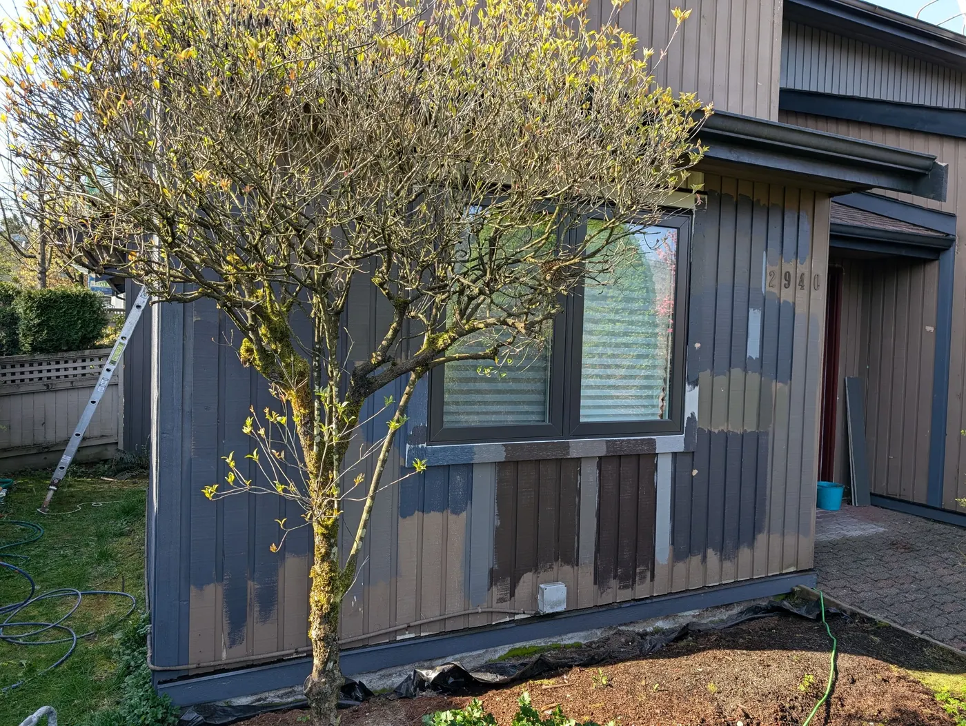 Vancouver, BC house exterior with dark gray-blue paint color tests around windows and the front entry.