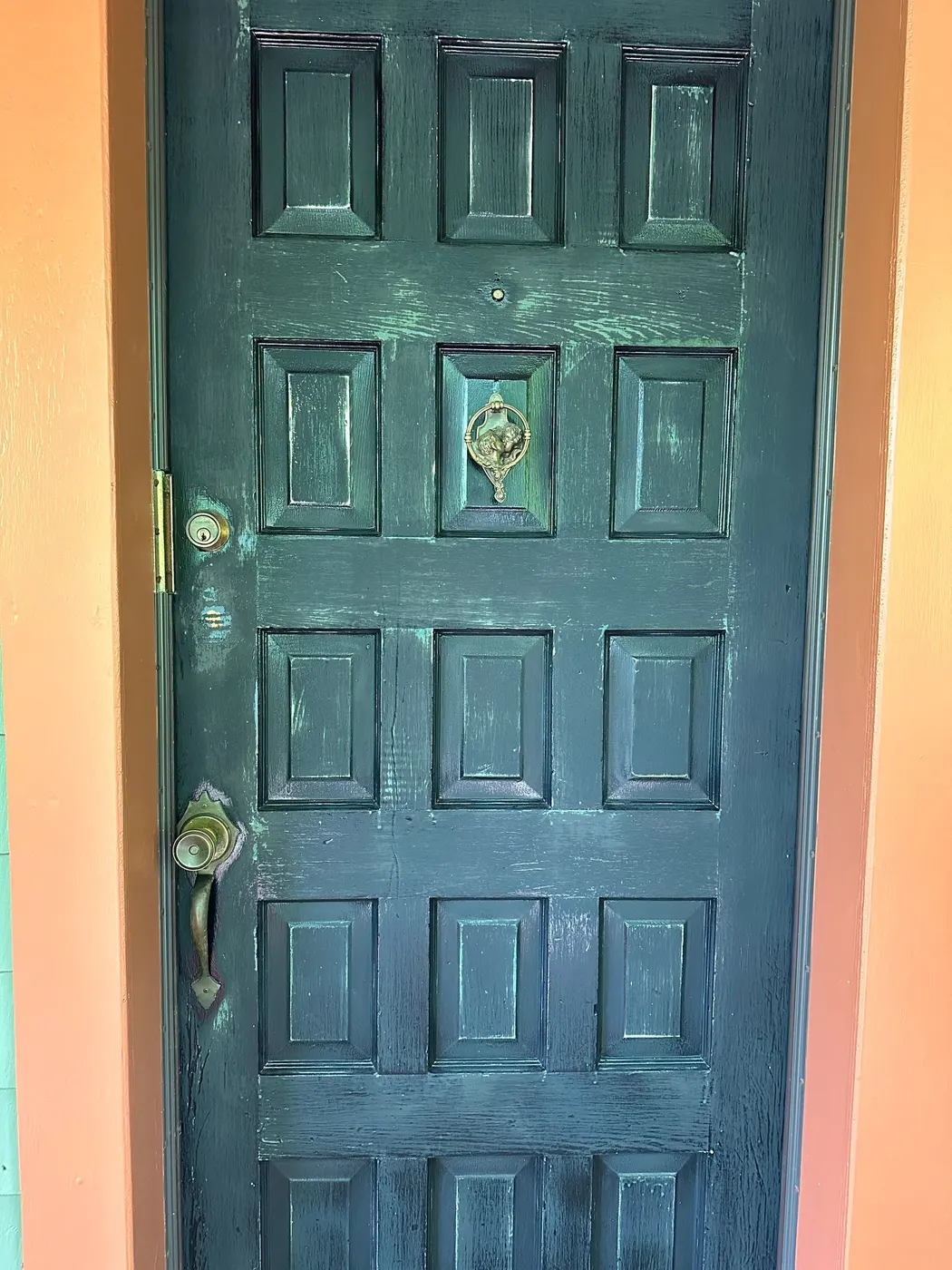 Weathered front door panel showing faded paint before repainting on a Vancouver home
