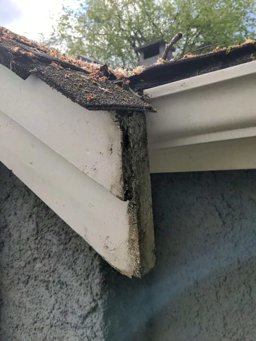 Close-up of rotted wood fascia board and roof edge needing repair before painting, Vancouver BC