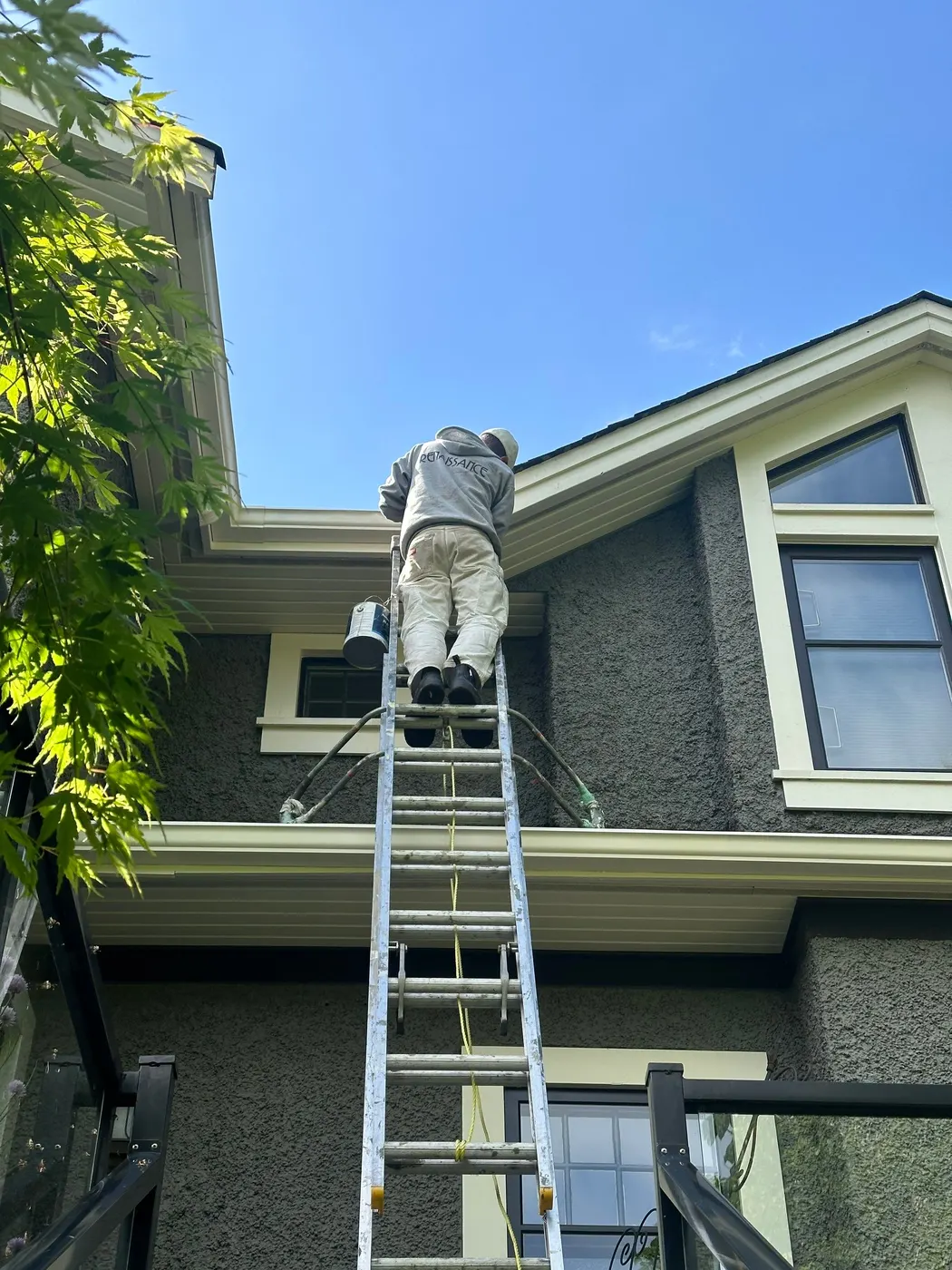 Renaissance Solutions painter climbing a ladder to paint eaves and stucco trim on a Vancouver house exterior