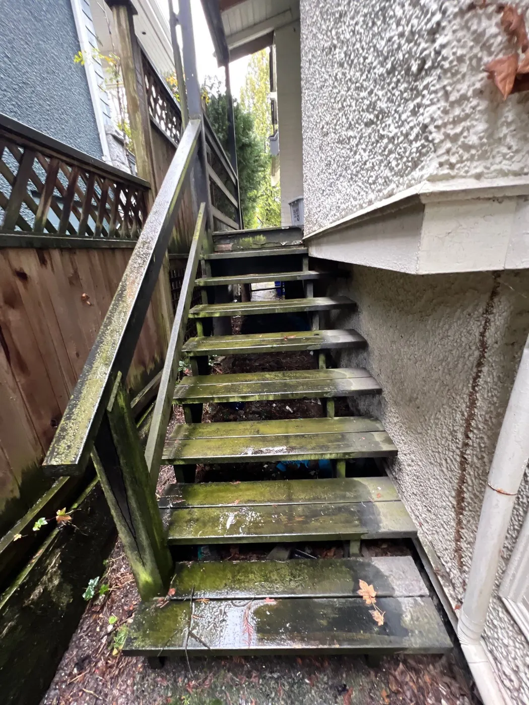 Mossy wooden exterior stairs at a Vancouver, BC rental property in need of carpentry maintenance.