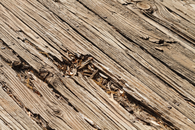 Dry wood can also suffer from rot, stop wood rot with these tips