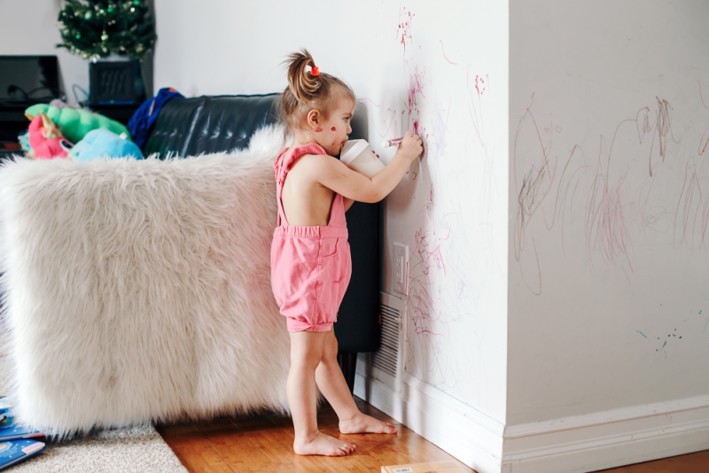 Washable wall paint is the option having kids or pets at home