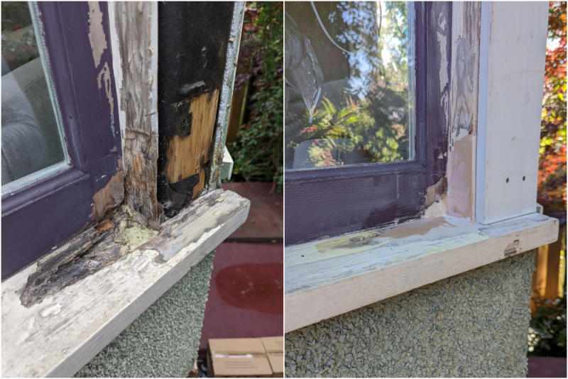 One option for wood rot is to remove all damaged wood and then fill the hole with sculpwood putty. 