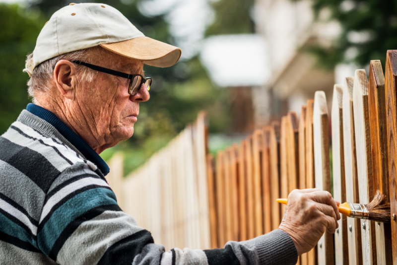 Whether you stain  or paint your wood fence depends on personal preference.