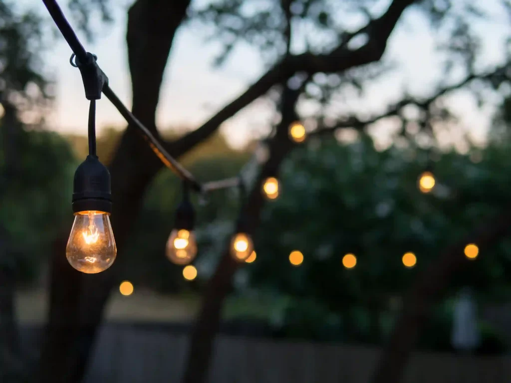 Outdoor String Light Edison Bulbs in the twilights.
