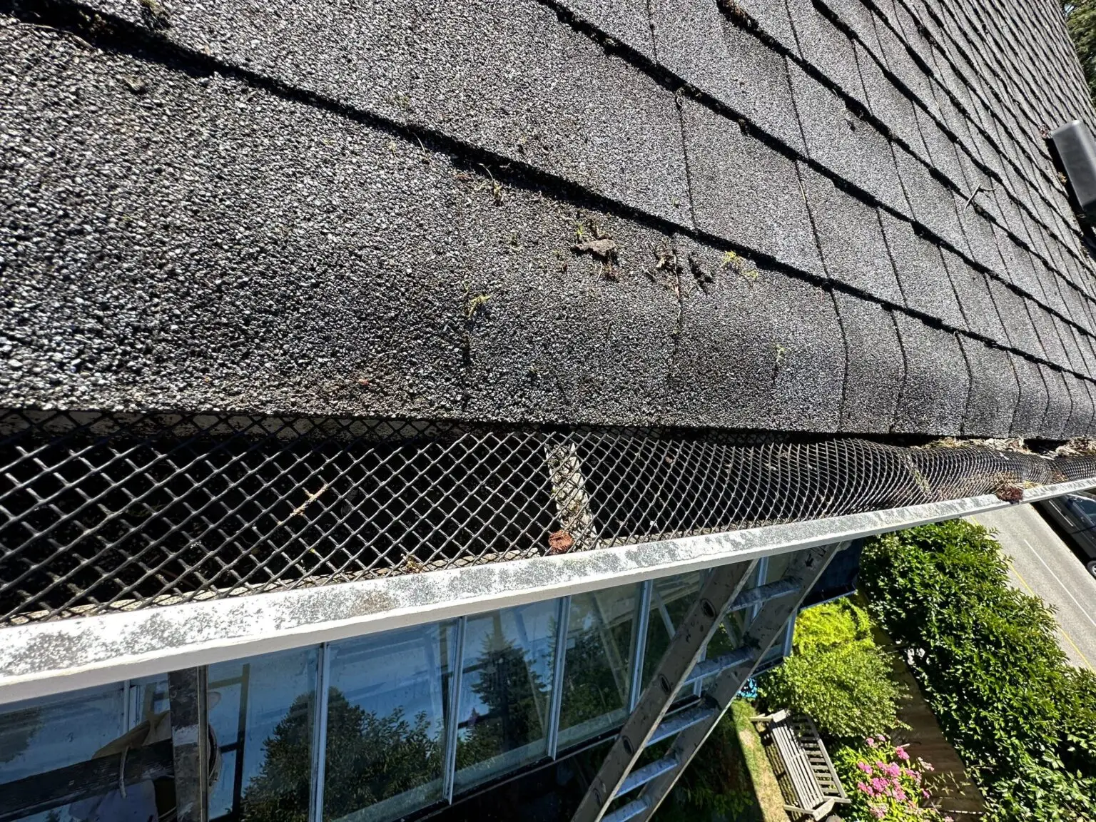 Clogged gutter with warped mesh guard and debris buildup on asphalt shingle roof—view from ladder during gutter repair.