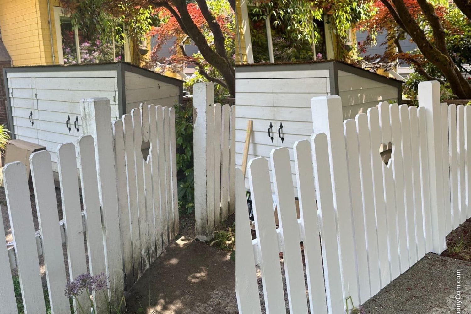 White picket fence with tree, freshly repaired and painted for better durability