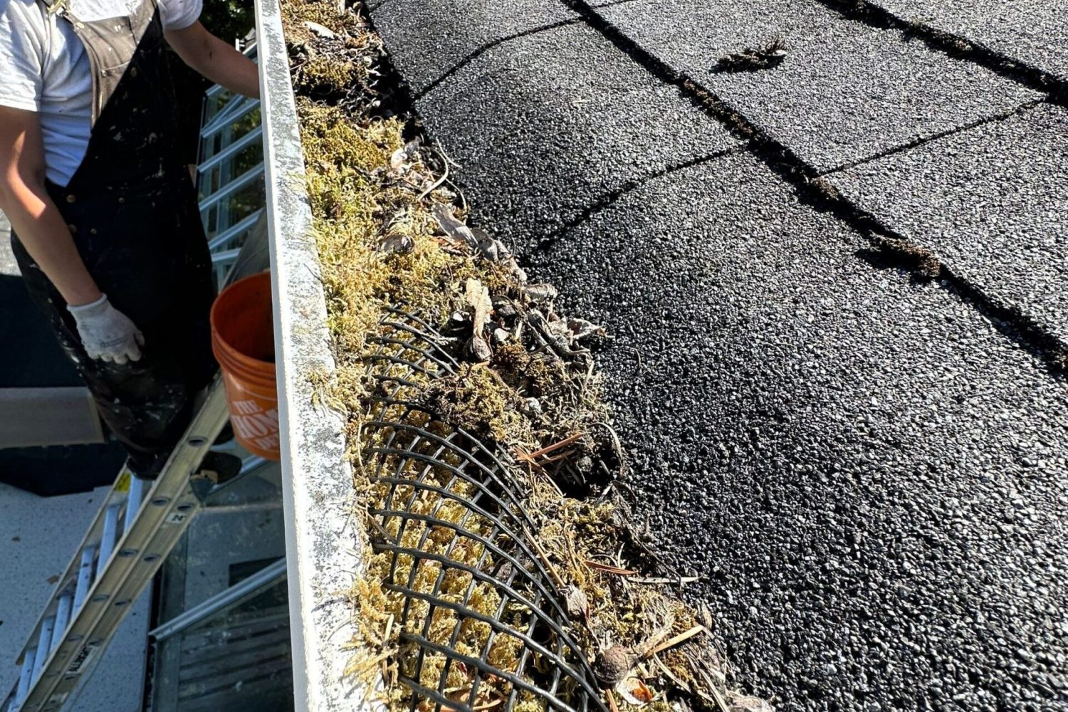 A gutter filled with the debris and moss.